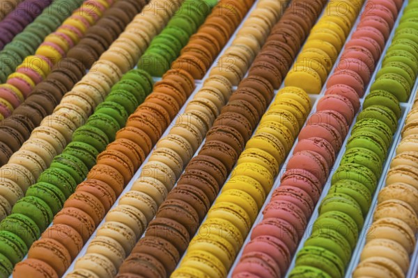 Macaroons in the confectioner's display, confectionery, assortment