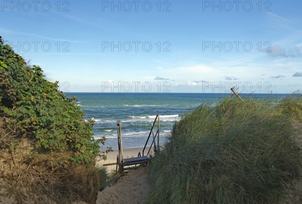 View of the sea from the dune path with vegetation and blue sky, holiday, North Sea, Lokken, North