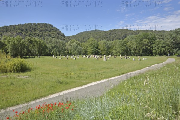 Sculpture by Fabienne Boÿer, 81 solitary stones, single, landscape, field, meadow, solitary,