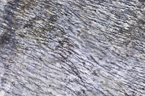The texture of natural stone, sandstone, limestone, granite