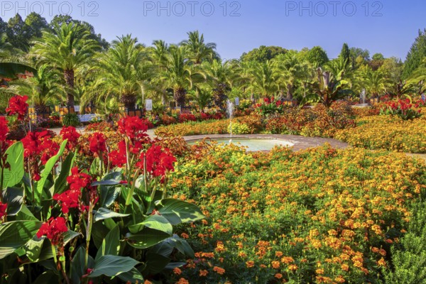 Palm garden in the historic spa gardens, the largest outdoor palm garden north of the Alps, Bad