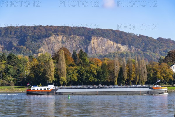 Cargo ship on the Rhine near Bonn, behind the Stingenberg quarry, site of the Oberkassl Stone Age