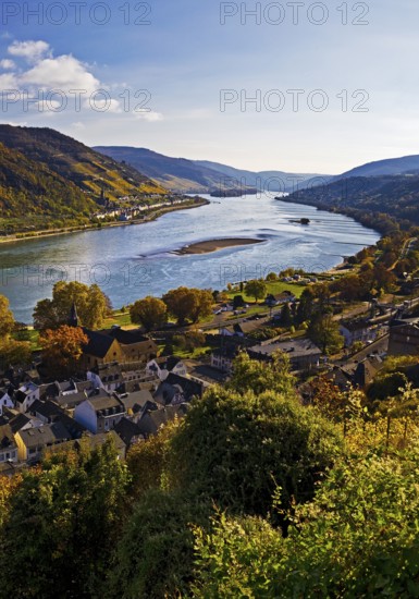 View of Bacharach on the Rhine in autumn, UNESCO World Heritage Upper Middle Rhine Valley,