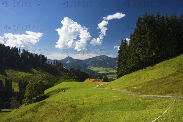 Illertal near Oberstdorf, behind the group of listeners, Allgäu, Bavaria, Germany, Europe