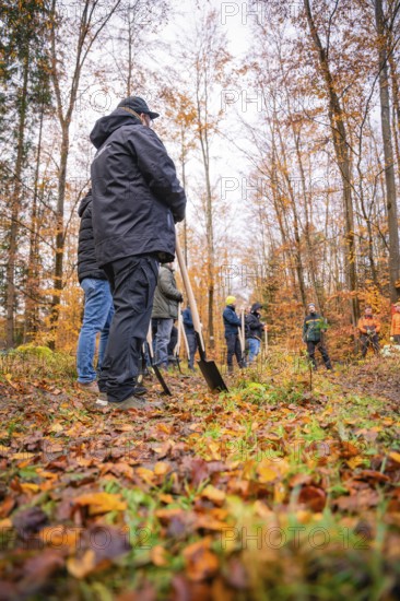 People at work with shovels in autumn forest, tree planting campaign, Waldbike Calw, district of