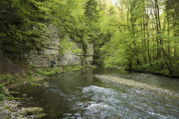 Hiking trail by the river, Wutach Gorge, Bonndorf, Baden-Württemberg, Black Forest, Germany, Europe