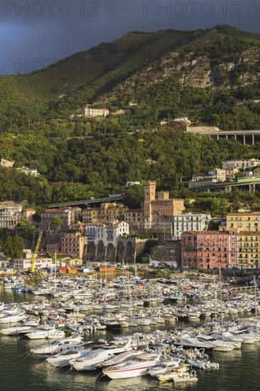 High angle view of marina with luxurious private yachts and sailboats bordered by apartment