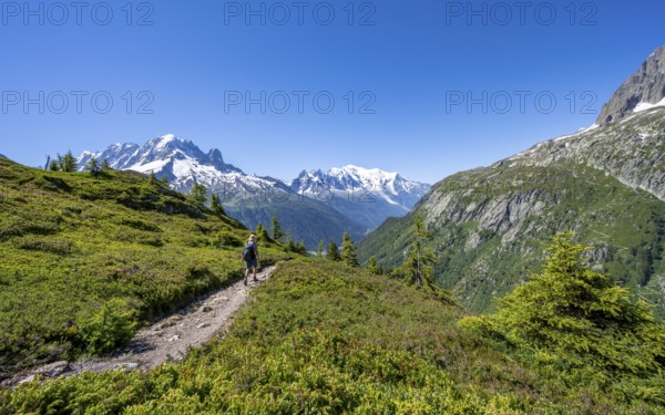 Mountaineer on hiking trail, mountain panorama with glaciated mountain peaks, Aiguille Verte with