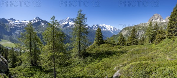 Mountain panorama with glaciated mountain peaks, Aiguille Verte with Aiguille du Midi and Mont