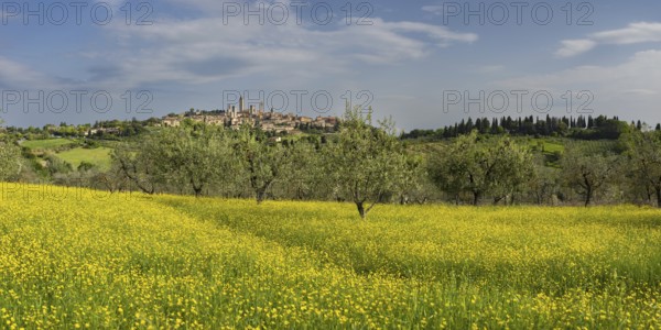 San Gimignano, Tuscany, Italy, Europe