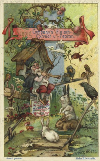 Picture series In the world of dwarves, free concert, dwarf plays the flute for the animals, Liebig
