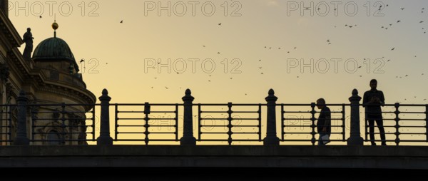 Evening sun, pedestrians on the Karl-Liebknecht-Bridge, Berlin, Germany, Europe