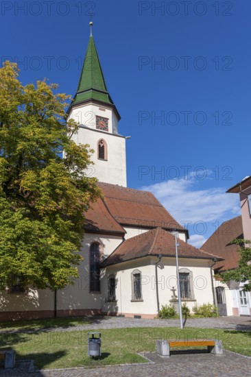 The Catholic Church of St Verena and Gallus, built in the 13th century, Hüfingen, Black Forest