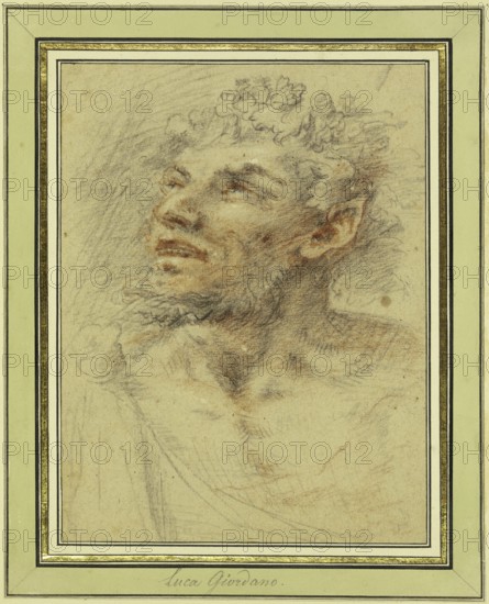 Faun's head crowned with vine leaves, painting by Luca Giordano (Italian, 1634-1705), historically,
