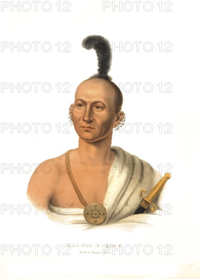 American Indian, Native American, Kai-Pol-E-Quah, a chief of the White Nosed Fox, United States of