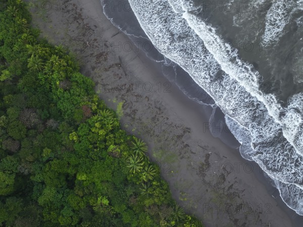 Top-down aerial view, beach and sea, coast with rainforest, Tortuguero National Park, Costa Rica,