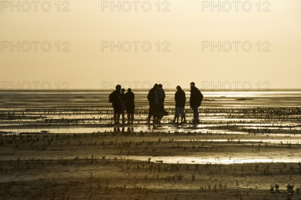 Hiker in the mudflats, sunset, Wyk, Föhr, North Frisia, Schleswig-Holstein, Germany, Europe