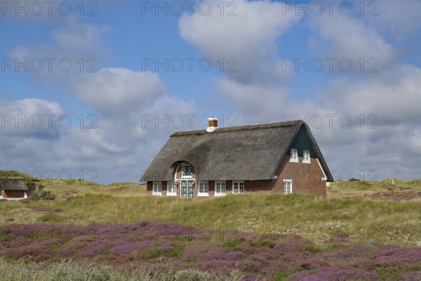 Thatched house in a scenic setting, surrounded by meadows and heath under a cloudy blue sky,
