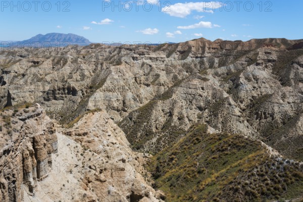 Extensive hilly desert landscape with dry vegetation and rocks under a clear blue sky, Barranco de