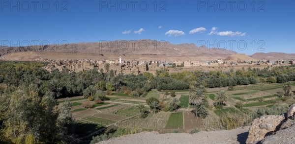 Oasis with traditional mud houses and date palms, on the edge of the Todra Gorge or Gorges du