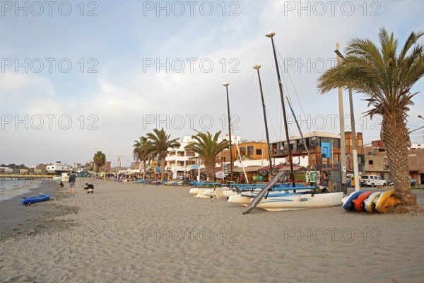 Paracas, Reserva Nacional de Paracas, Ica region, Pisco province, Peru, South America