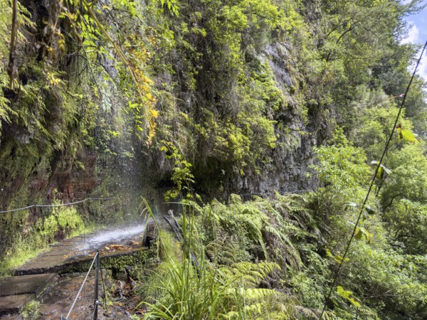 Hiking trail with waterfall on the Levada Nova and Levada do Moinho, Madeira, Portugal, Europe