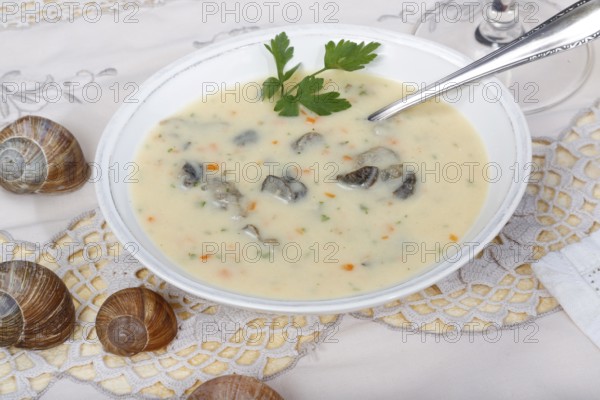 Baden cuisine, snail soup, typical Baden, vineyard snail shell, snail shells, parsley, spoon, soup