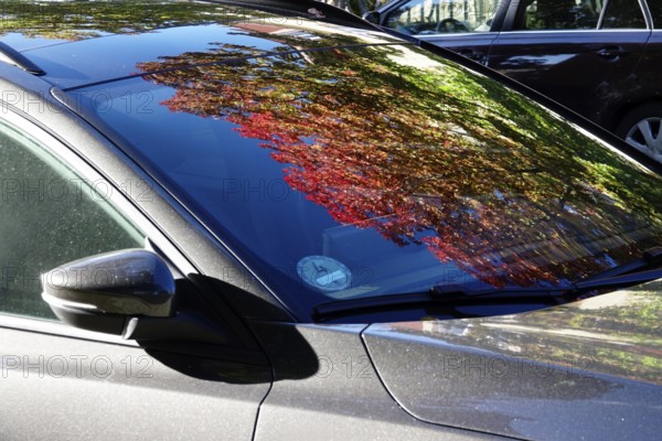 Trees with autumn colours reflected in a windscreen, October, Germany, Europe