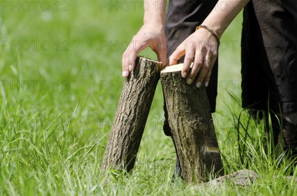 Woman Hands Holding Firewood on the Green Grass