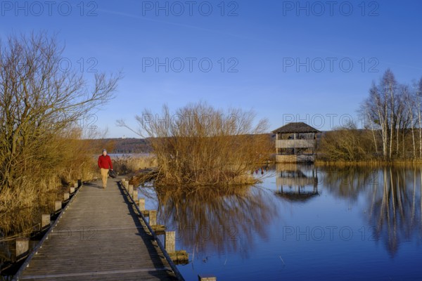 Plank path to the observation tower, high water in Dießen am Lake Ammer, Diessen, Fünfseenland,