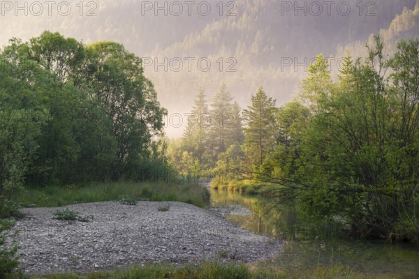 Isar valley nature conservancy area. The wild Isar river flows through its gravel bed past