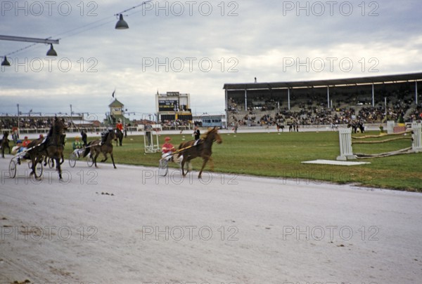 Trotting race in a stadium as part of an equestrian event, Melbourne, Victoria, Australia, 1956,