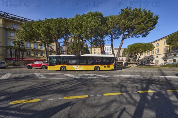 Bus stop Piazza Rezzonico, public bus, pine tree (Pinus pinea), trees, blue sky, street Riva