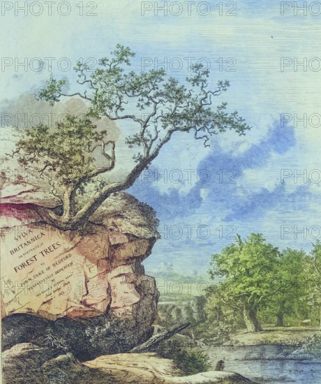 Famous old trees, cover picture of the book Sylva Britannica, Forest Trees, from 1826, England,