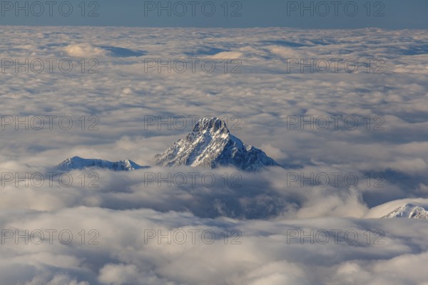 Mountain peak above high fog, evening light, winter, view from Zugspitze to Säuling, Bavarian Alps,