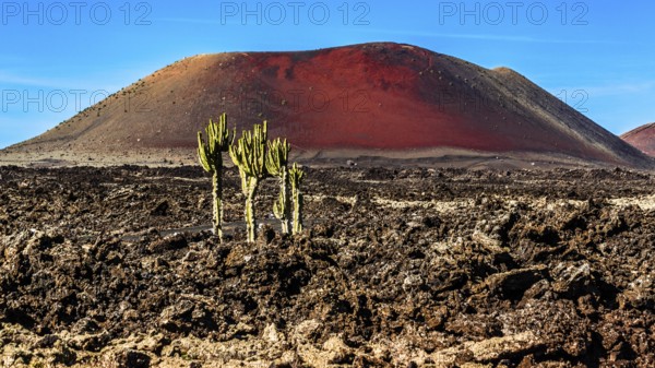 2016, Timanfaya, Lanzarote, ESP, Spain, Canary Islands, Canary Islands, Atlantic Ocean, Lanzarote,