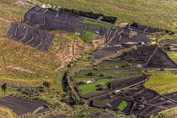 2016, Haria, Lanzarote, Haria, ESP, Spain, Canary Islands, Canary Islands, Atlantic Ocean,