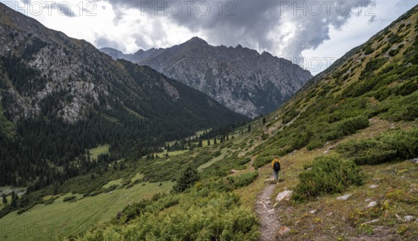 Mountaineer on hiking trail in green mountain valley with river and steep mountain peaks, Chong