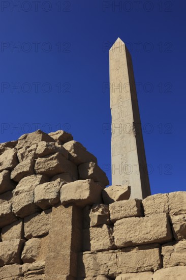 Luxor, Karnak Temple, obelisk of the pharaoh Hatshepsut, stands in the Amun Temple in Karnak,