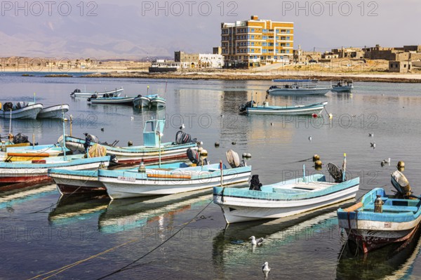 Fishing boats anchored in the harbour of Mirbat, Dhofar Province, Arabian Peninsula, Sultanate of