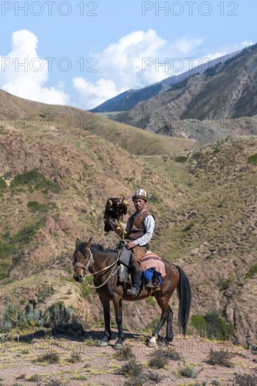 Traditional Kyrgyz eagle hunter with eagle in the mountains, hunting on horseback in front of dry