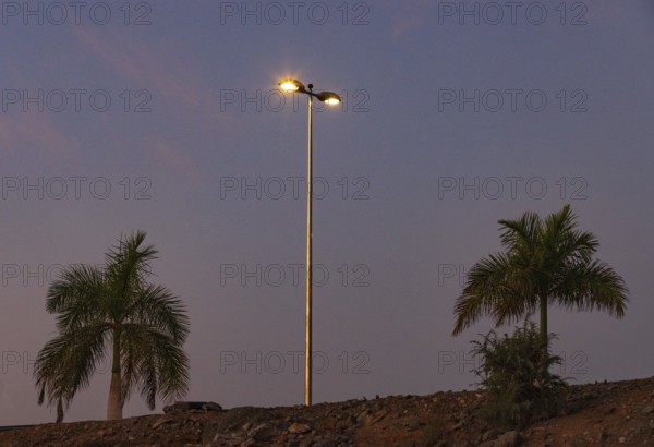 Dawn with street lantern and palm tree, Maspalomas, Gran Canaria, Canary Islands, Spain, Europe