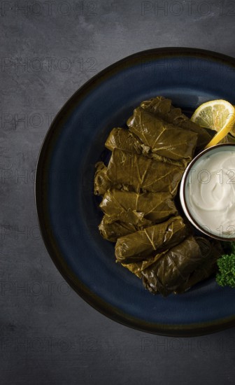 Dolma, cabbage rolls, grape leaves with filling, white sauce, lemon and herbs, rustic, selective