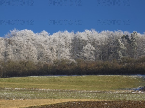 Farmland, a hedge and Beech woodland (Fagus sylvatica), covered in hoarfrost beside Breuna, North