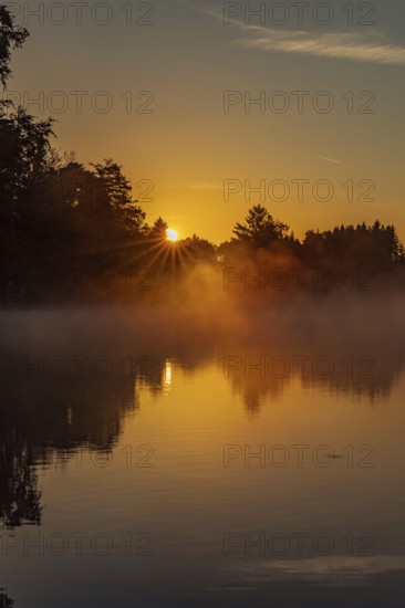 Autumnal morning atmosphere at Schmutter Weiher with fog near Lechbruck, Halblech and Roßhaupten in