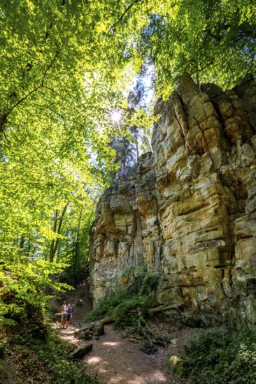 The Devil's Gorge, narrow, accessible gorge of sandstone rocks, with steep rocky gorges, near