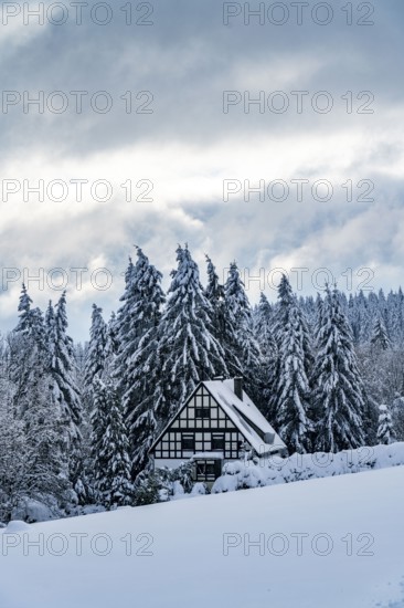 Winter in Sauerland, Hochsauerlandkreis, at Kahler Asten, near Winterberg, few tourists, visitors,