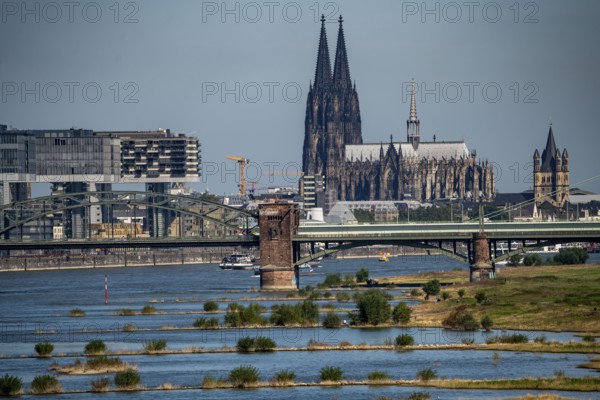 Crane houses, at the customs harbour, Cologne-South, residential and office high-rise buildings,