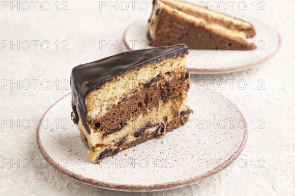 Chocolate biscuit cake with caramel cream and walnuts, on gray concrete background. side view,