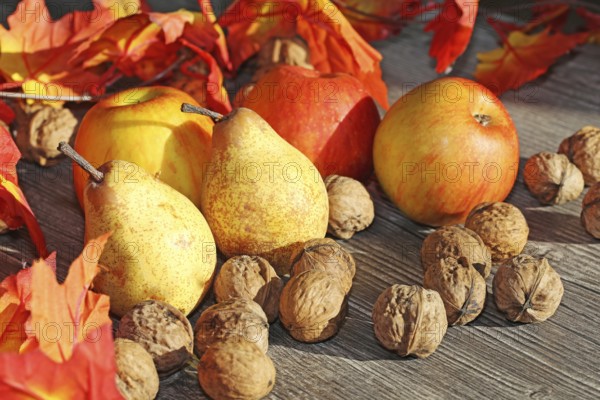 Apples, pears and walnuts on a rustic wooden table as an autumnal motif